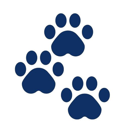 residencia canina